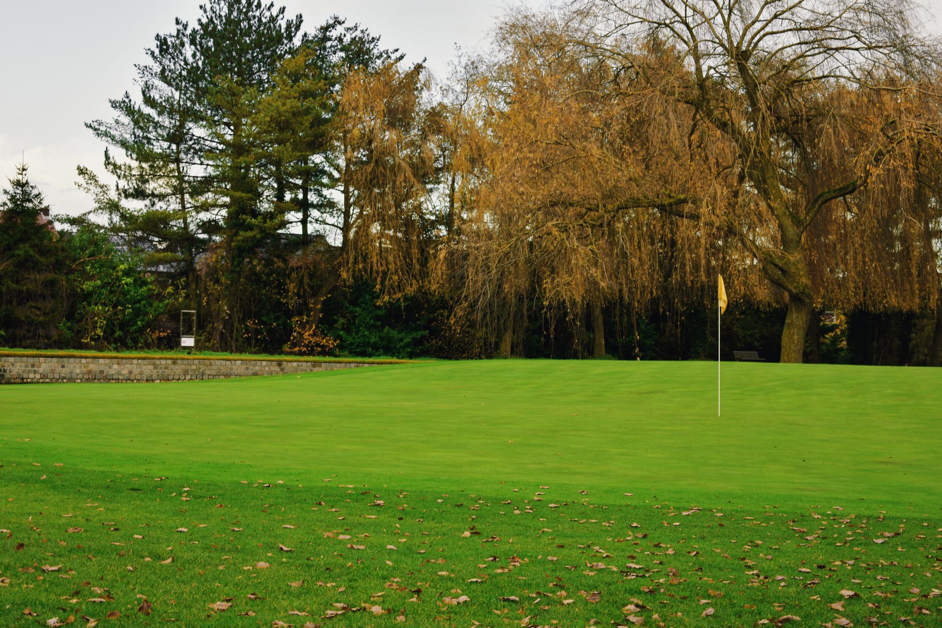 Putting Green Installation